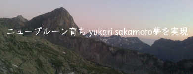 ニュープルーン育ちyukarisakamoto夢を実現